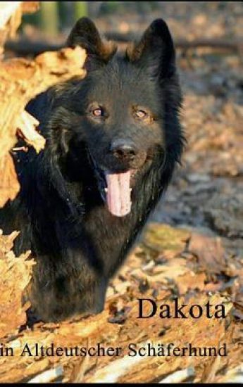 Dakota