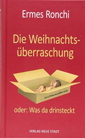 Die Weihnachtsüberraschung