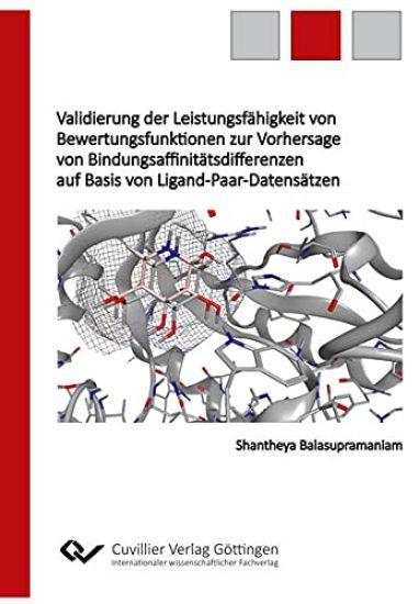 Validierung der Leistungsfähigkeit von Bewertungsfunktionen zur Vorhersage von Bindungsaffinitätsdifferenzen auf Basis von Ligand-Paar-Datensätzen