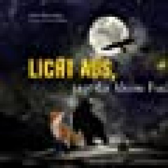 Licht aus, sagt der kleine Fuchs