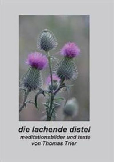 Die lachende Distel