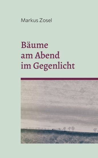 Bäume am Abend im Gegenlicht