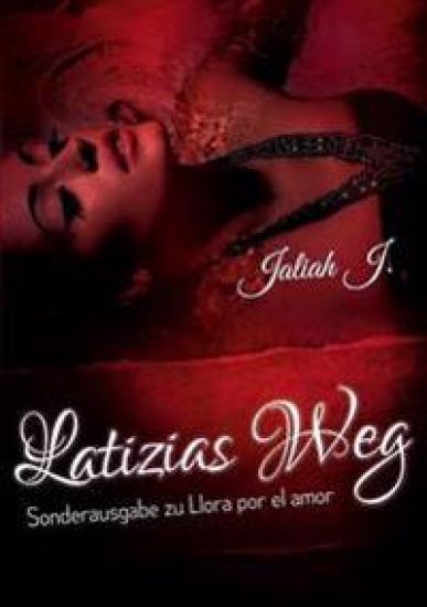 Llora por el amor 8 - Latizias Weg