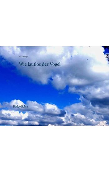 Wie lautlos der Vogel