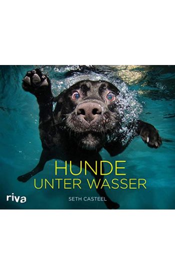 Hunde unter Wasser