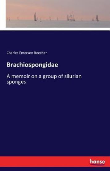 Brachiospongidae