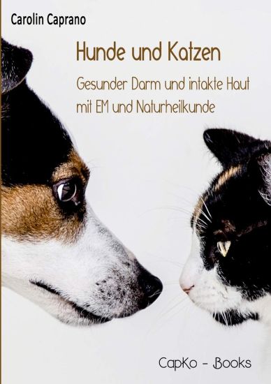 Hunde und Katzen