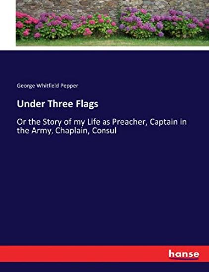 Under Three Flags