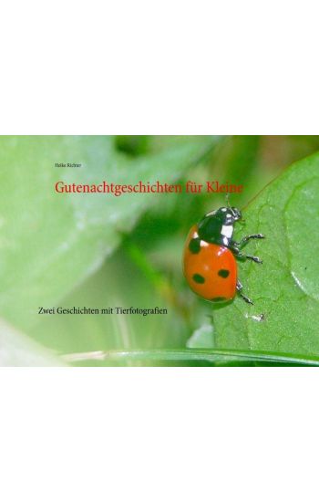 Gutenachtgeschichten für Kleine