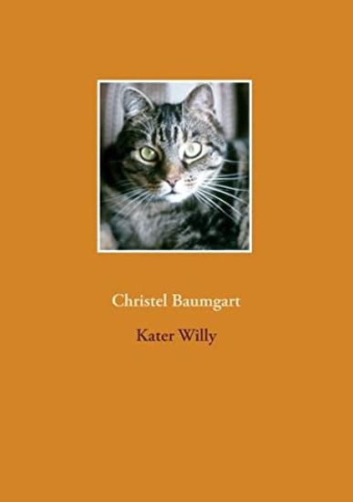 Kater Willy