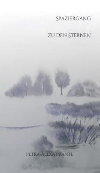 Spaziergang zu den Sternen