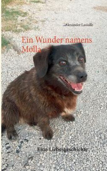 Ein Wunder namens Molla