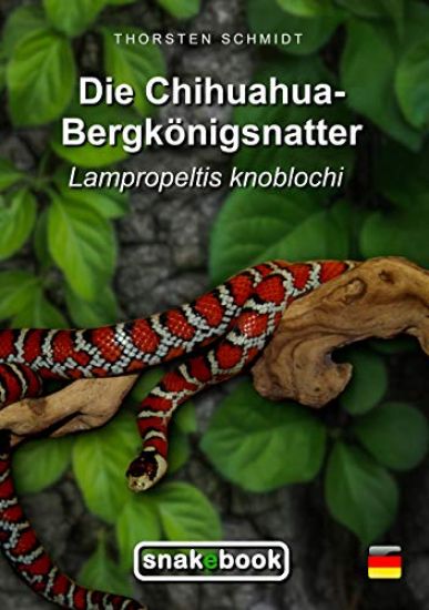 Die Chihuahua-Bergkönigsnatter