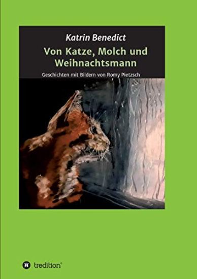 Von Katze, Molch und Weihnachtsmann: Geschichten mit Bildern von Romy Pietzsch