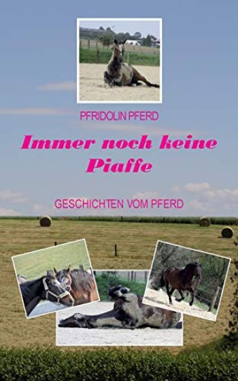 Immer noch keine Piaffe