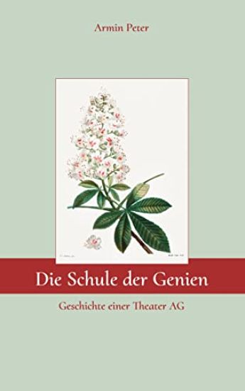 Die Schule der Genien