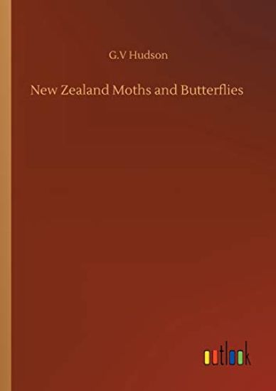 New Zealand Moths and Butterflies