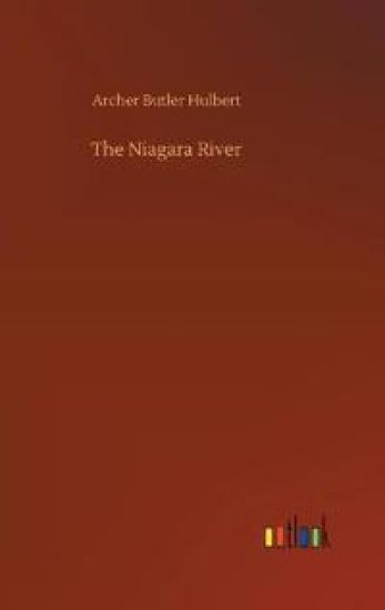 The Niagara River