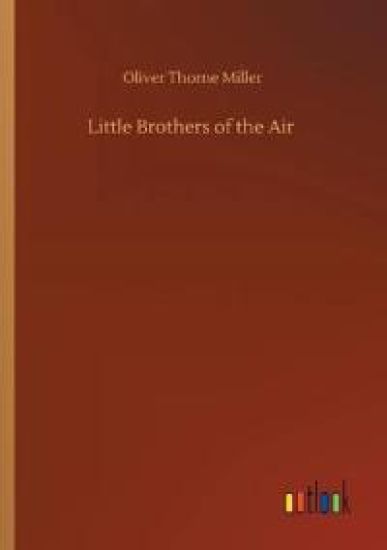 Little Brothers of the Air