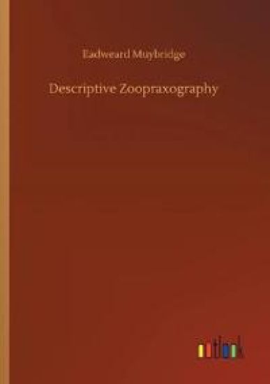 Descriptive Zoopraxography