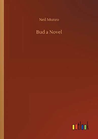 Bud a Novel