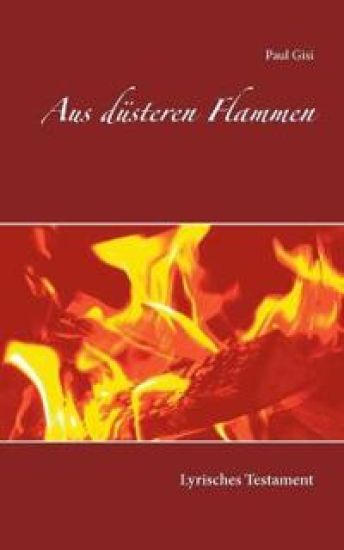 Aus düsteren Flammen