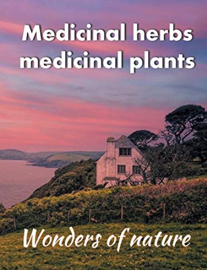 Medicinal herbs / medicinal plants