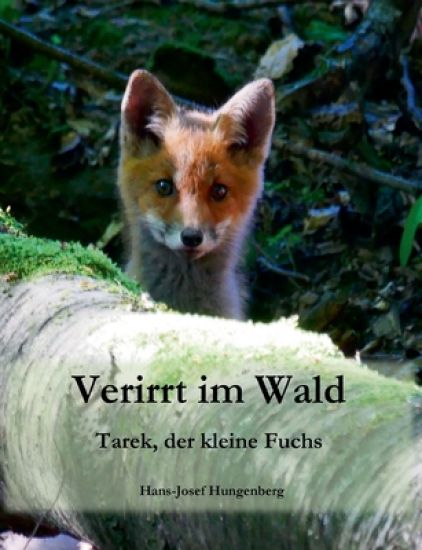 Verirrt im Wald