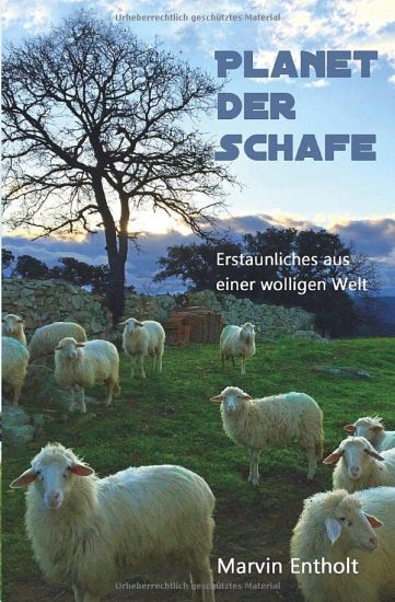 Planet der Schafe
