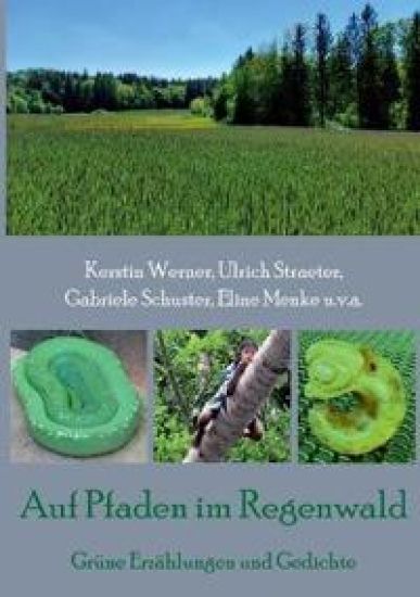 Auf Pfaden im Regenwald