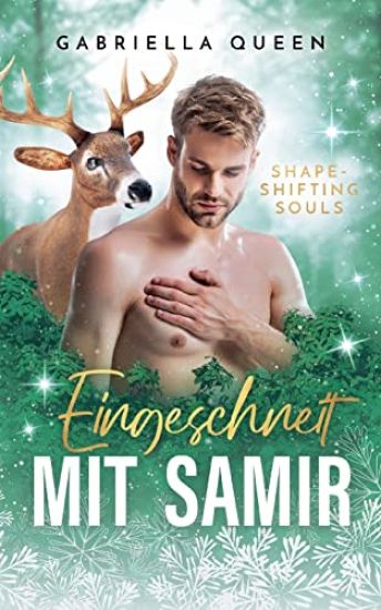 Eingeschneit mit Samir