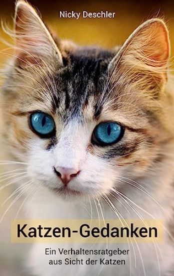 Katzen-Gedanken