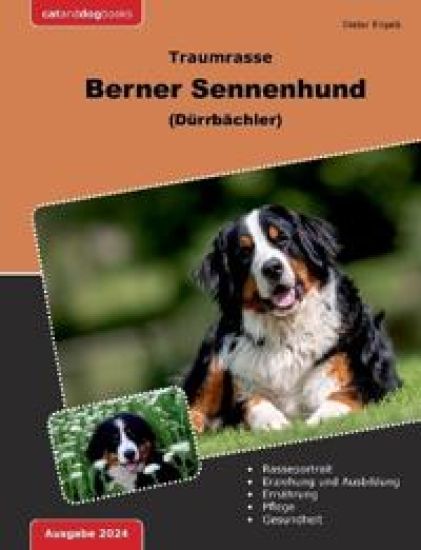 Traumrasse Berner Sennenhund