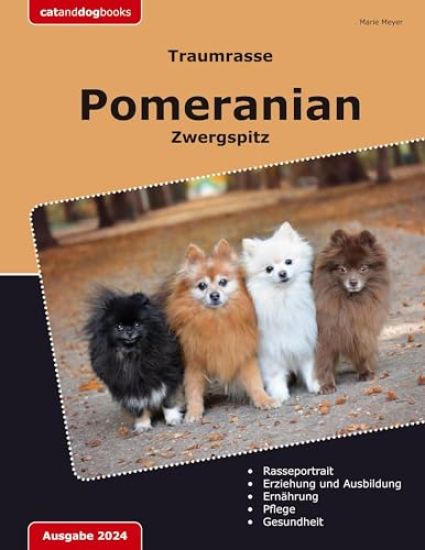Traumrasse Pomeranian