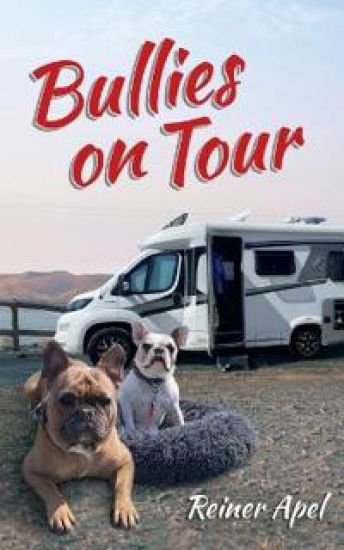 Bullies on Tour