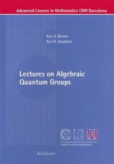 Lectures on Algebraic Quantum Groups