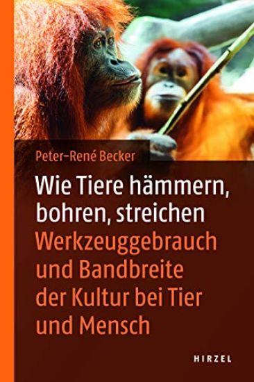 Wie Tiere hämmern, bohren, streichen