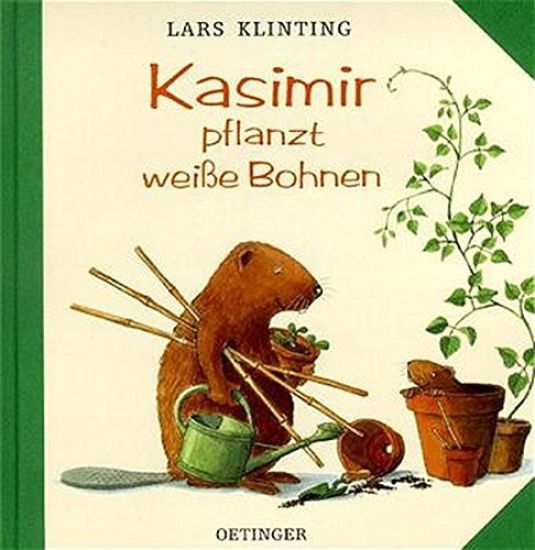Kasimir pflanzt weiße Bohnen