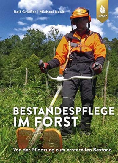 Bestandespflege im Forst