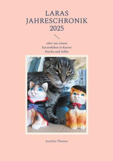 Laras Jahreschronik 2025: oder: aus einem Katzenleben in Kurort Hartha und Sellin