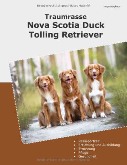 Traumrasse Nova Scotia Duck Tolling Retriever