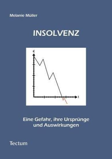 Insolvenz - eine Gefahr, ihre Ursprünge und Auswirkungen