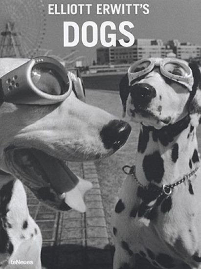 Elliott Erwitt's Dogs