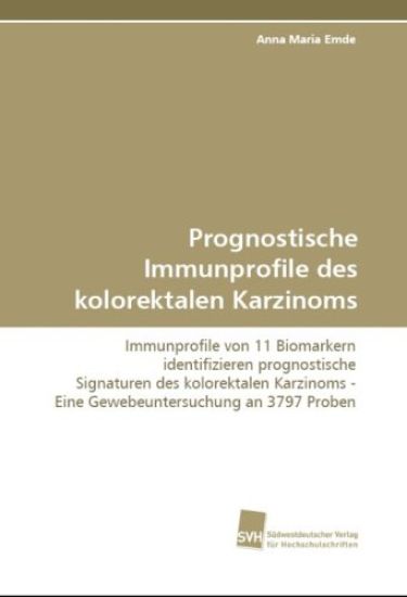 Prognostische Immunprofile des kolorektalen Karzinoms