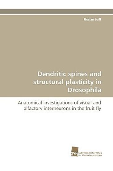 Dendritic Spines and Structural Plasticity in Drosophila