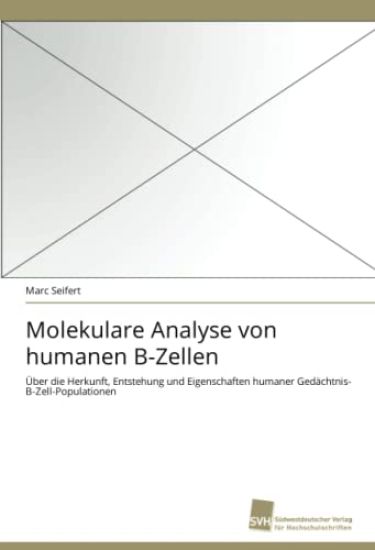 Molekulare Analyse von humanen B-Zellen