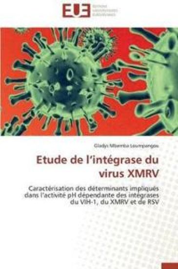 Etude de L Int?grase Du Virus Xmrv