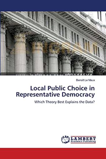 Local Public Choice in Representative Democracy