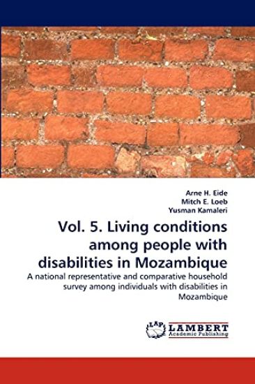 Vol. 5. Living conditions among people with disabilities in Mozambique