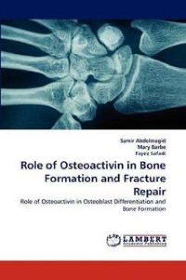 Role of Osteoactivin in Bone Formation and Fracture Repair